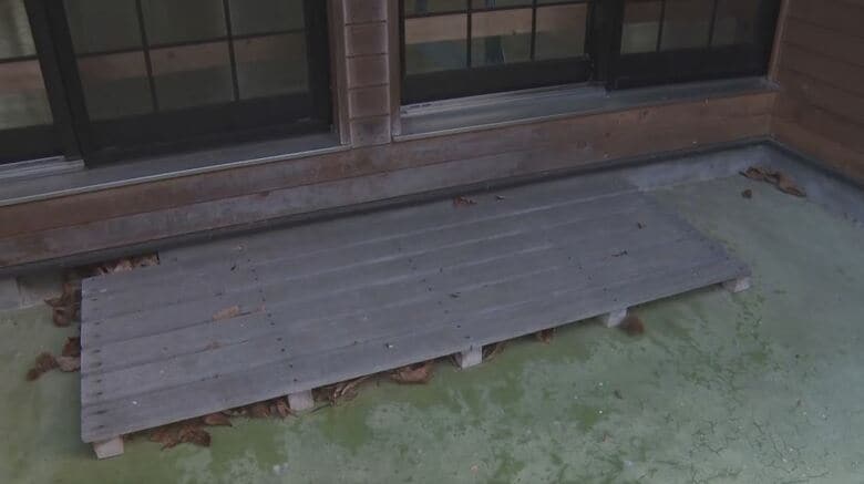 窓のすぐ外にクマが現れた