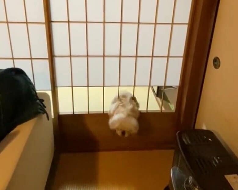 よいしょー