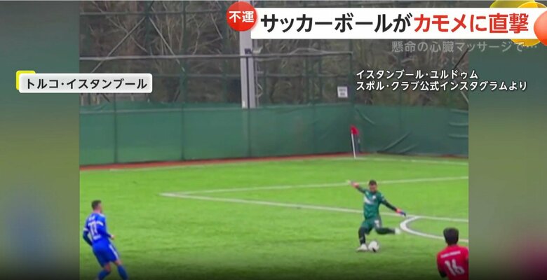 サッカーの試合中、ボールが空を飛んでいたカモメに直撃する瞬間（2月、トルコ・イスタンブール）②