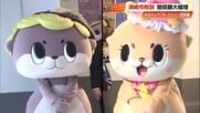 ちぃたん☆ vs しんじょう君の“ゆるキャラ訴訟合戦”　須崎市が敗訴で1887万円の賠償命令【高知】