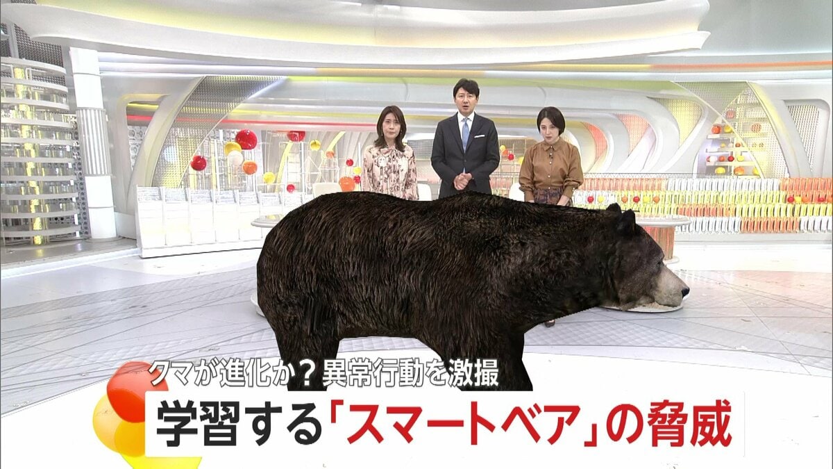 こんなデカいの見たことない」400キロ級“巨大グマ”に老練ハンター驚き