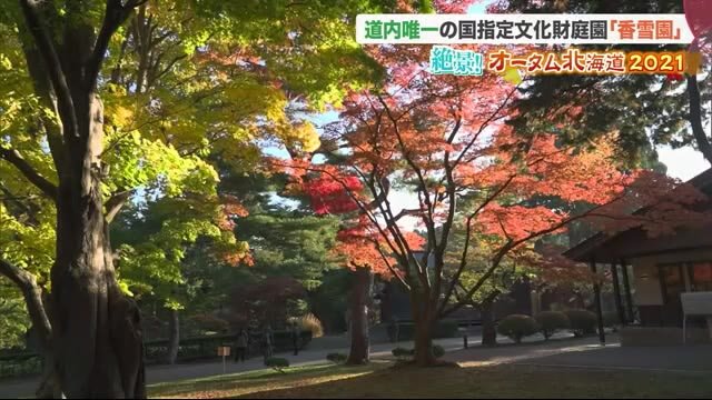 昼も夜も楽しめる紅葉に幸せなひと時 北海道唯一の国指定文化財庭園 香雪園 オータム北海道21