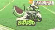 田んぼにスイカ・銀山温泉が出現！　赤・黒・白、色とりどりの苗で巨大田んぼアート　山形・尾花沢市