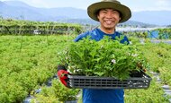 【新事実】ローズゼラニウムの保湿力はアロエの3.2倍！一般社団法人日本臨床試験協会（JACTA）の試験で判明。