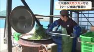 海苔の産地「十六島」で天然ワカメ漁を守る　38歳のIターン漁師が奮闘中（島根・出雲市）
