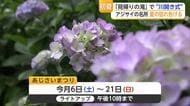 アジサイの名所「見帰りの滝」で川開き式　6日からの「あじさいまつり」前に安全祈願【佐賀県】