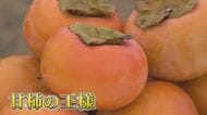 二人三脚で新たな特産品に挑む夫婦  会計事務所を退職しゼロから『柿農家』に  妻の知識を生かし加工品も開発 【福岡発】