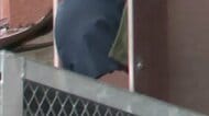 死体損壊容疑で逮捕の旭山動物園職員の男　防犯カメラに“1mの荷物”運ぶ姿…閉園後に妻の遺体搬入か