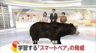 「こんなデカいの見たことない」400キロ級“巨大グマ”に老練ハンター驚き…わな見破る高い学習能力の「スマートベア」も増加