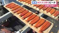 塩水に漬けたボラの卵を天日干し…高級珍味『カラスミ』作りが最盛期 11月末まで行われお歳暮用等で全国へ