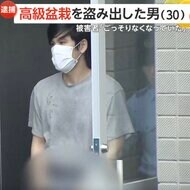 【あ然】「ごっそりなくなっていた」約10万円“黒松”も…高級盆栽67万円相当盗んだ疑いでベトナム国籍30歳男を逮捕　海外で売りさばく狙いか　警視庁