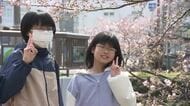 県内 春らしい陽気に 松川べりは花見客でにぎわう