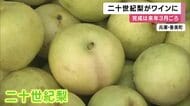 特産「二十世紀梨」がワインに　今年は糖度高く期待　完成まで約2カ月半、来年3月ごろ販売へ　兵庫・香美町