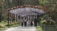 今年のテーマは「赤」 40種、約1万4000株の花々が園内を彩る 秋のフローラル祭