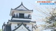 夢は「家族みんなで高知に住む」　ガザから家族を避難させるため約20年ぶり“思い出”の高知に