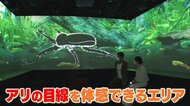 大人がハマる!“空前の図鑑ブーム”を取材 現代の体験型図鑑施設に驚きも