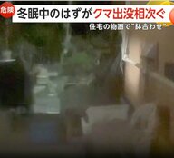 「冬は冬眠するものと…」1月なのにクマ出没相次ぐ…住宅の物置で“鉢合わせ”も　専門家「親グマ駆除され冬眠の仕方知らない若いクマか」