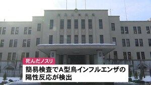 1月感染確認された養鶏場近く…死んだ野鳥「ノスリ」から鳥インフルエンザ陽性反応 高病原性か確定検査へ