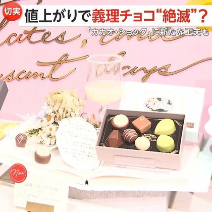 【何が】「義理チョコはあげない」カカオ豆値上がりし“史上最高金額”に…チョコレートの価格上昇で義理チョコ“絶滅”か　「カカオ・ショック」に新たな工夫も