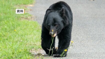 クマによる物的被害　自動車運転免許試験場の窓ガラスにヒビ　岩手県盛岡市