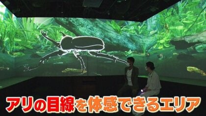 大人がハマる！“空前の図鑑ブーム”を取材　現代の体験型図鑑施設に驚きも