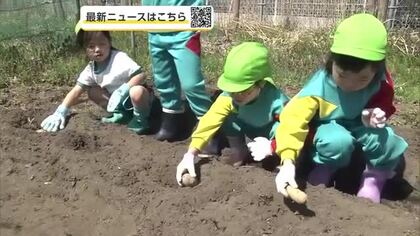 「大きくなーれ！」　園児がジャガイモの種イモ植えに挑戦　収穫予定は7月　秋田市