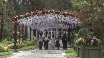 今年のテーマは「赤」 40種、約1万4000株の花々が園内を彩る 秋のフローラル祭