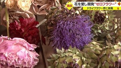 生花本来の色鮮やかさをそのままに…5年の時を経て“ゼロフラワー”完成
