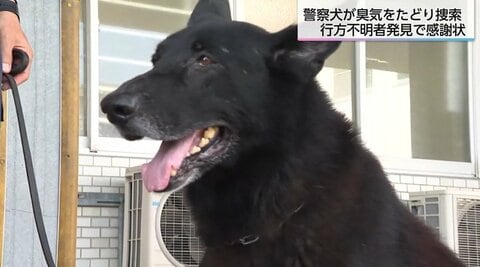 捜索開始からわずか約6分で不明の高齢女性を発見　嘱託警察犬ジーク号と指導士に感謝状