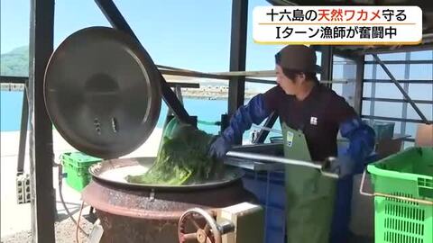 海苔の産地「十六島」で天然ワカメ漁を守る　38歳のIターン漁師が奮闘中（島根・出雲市）