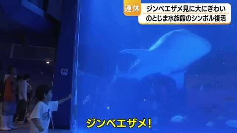 シルバーウィーク初日　水族館のシンボル「ジンベエザメ」が復活　のとじま水族館にぎわう