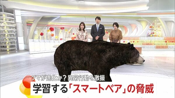 こんなデカいの見たことない」400キロ級“巨大グマ”に老練ハンター驚き