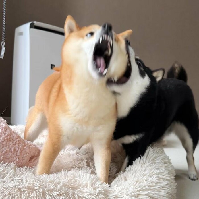 台風注意報