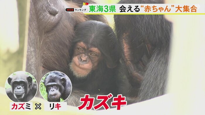 ニュースONE