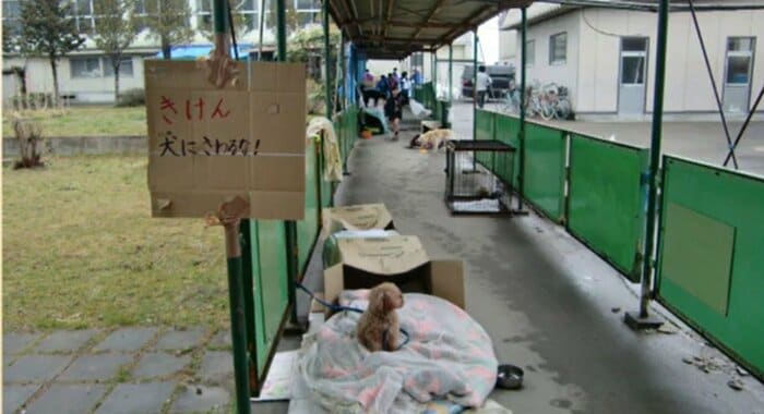 提供：NPO法人エーキューブ