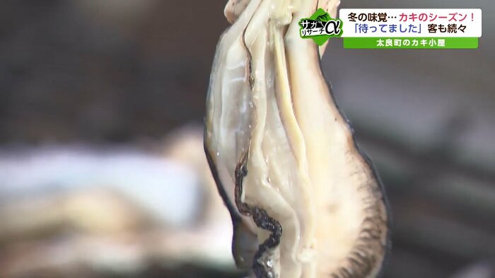 甘みがあり身もプリプリのカキ