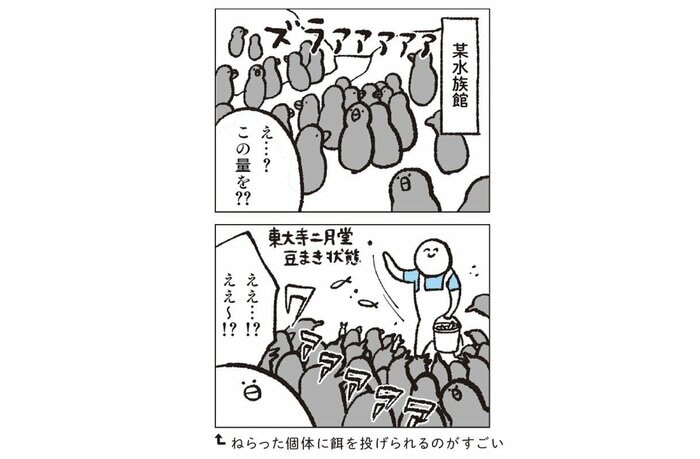 『水族館飼育員のただならぬ裏側案内』(集英社インターナショナル)より