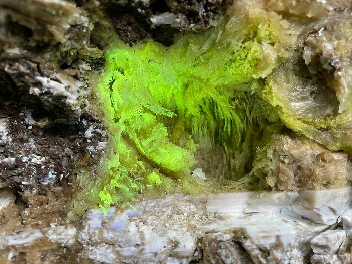 北海道石を含むオパールの産状（長波紫外線を当てると黄緑色の蛍光を発する。横幅15センチ）[提供：相模中央化学研究所 田中陵⼆・主任研究員]