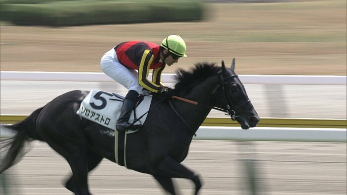 25年新潟2歳未勝利を制したゾロアストロ