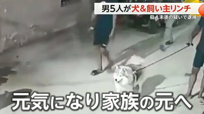 (スペクター・コミュニケーションズ)