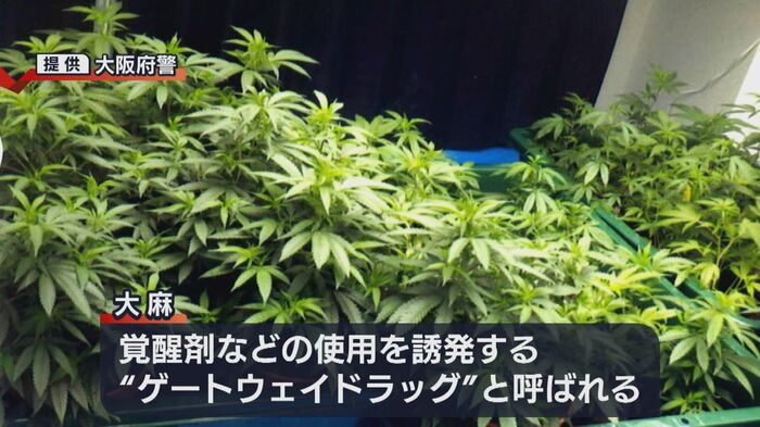 ゲートウェイドラッグ(大阪府警提供)