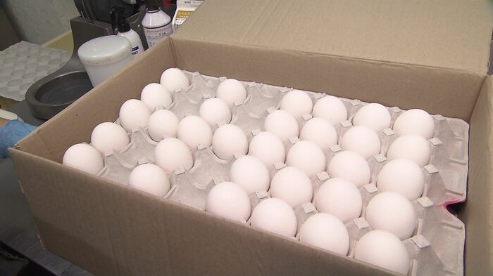 仕入れた卵