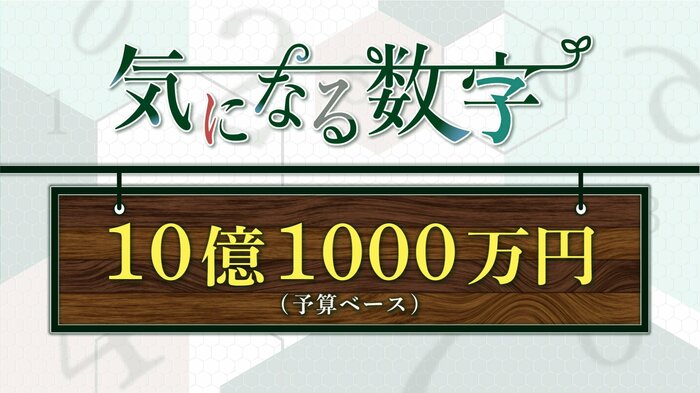 新潟県知事選挙の予算