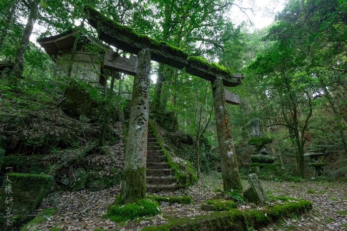 皇大神宮(福岡県/2025年4月撮影)