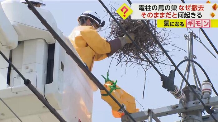 電柱にあったカラスの巣を手に持つ作業員