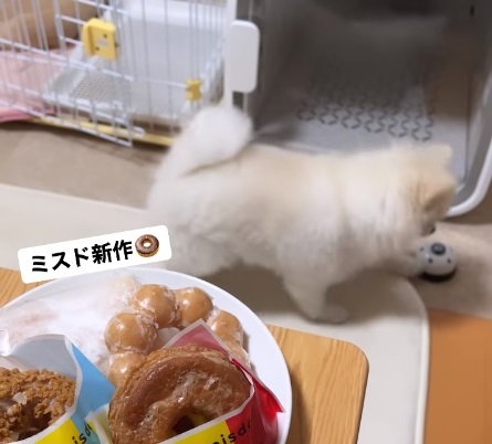 何度もベルを鳴らすペコちゃん