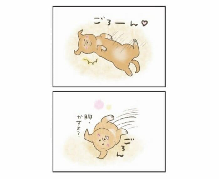『たまさんちのホゴイヌ2』(世界文化社)より