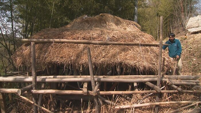東京から移住した佐々田さんの自作のかやぶき小屋
