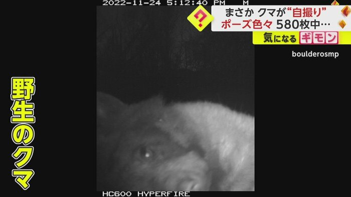 首をかしげている