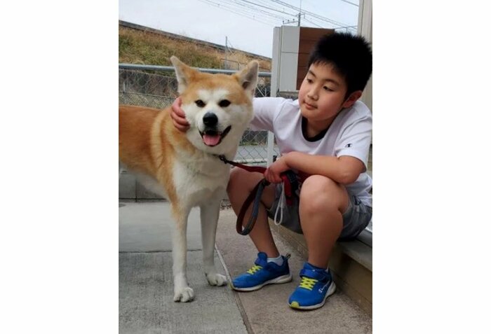 杏ちゃんとお兄ちゃん(提供:秋田犬 杏(あん)と蓮(れん)さん)